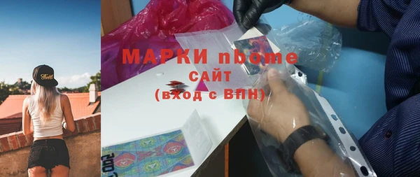 сатива Абинск