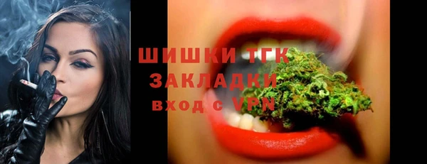 сатива Абинск