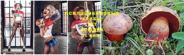 мескалин Абаза